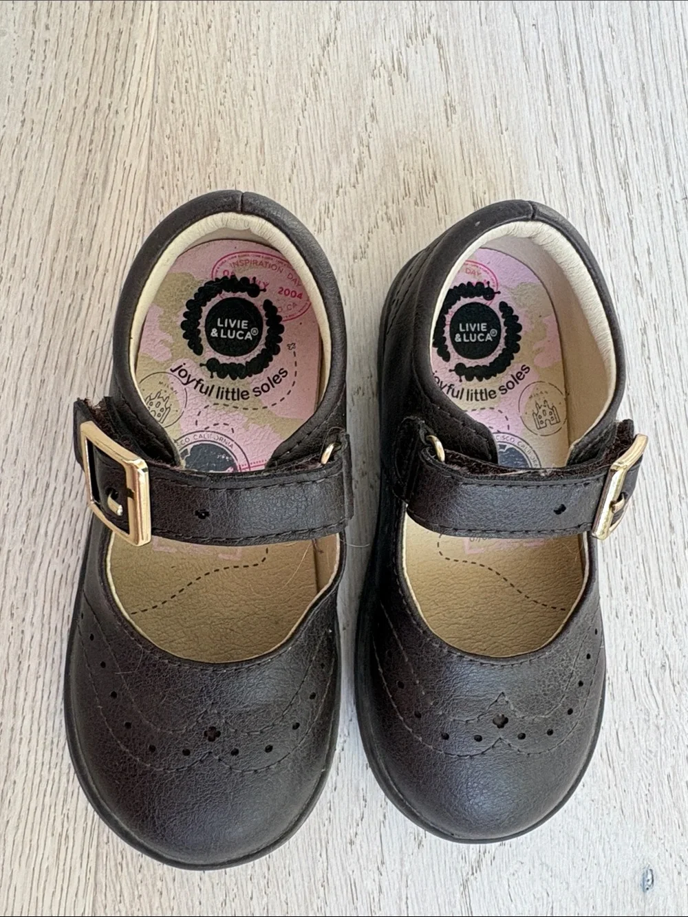 Livie & Luca Dark Brown Mary Jane Shoes with Gold Buckles
